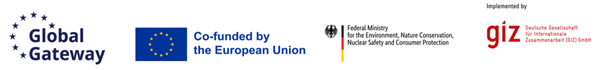 EU & GIZ Logo